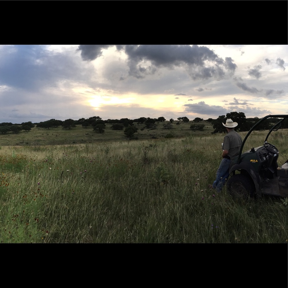 Meet your Posher, Denver